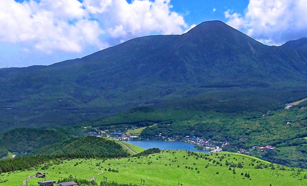 家庭用・産業用電力平均単価