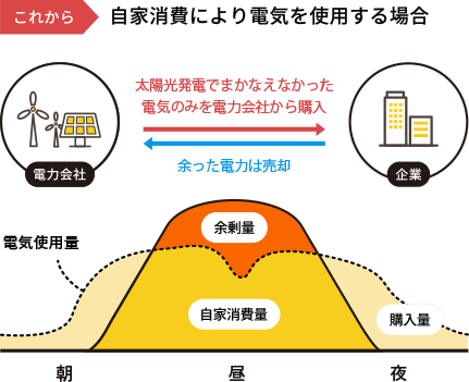 自家消費により電気を使用する場合の電気使用量と購入量グラフ。太陽光発電でまかなえなかった電気のみを電力会社から購入。余った電力は売却。